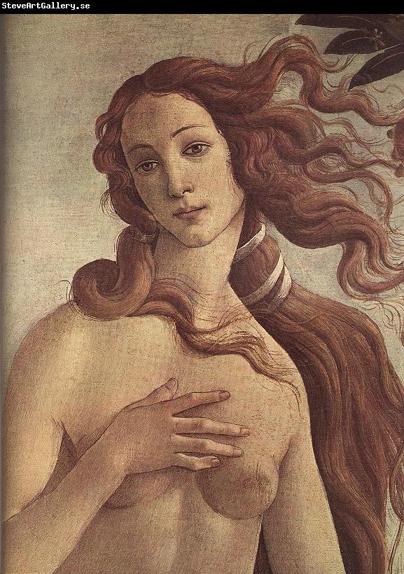 BOTTICELLI, Sandro The Birth of Venus (detail) ff